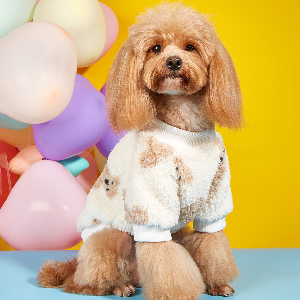 Lamb Cashmere Bear Coat for Autumn and Winter Dogs