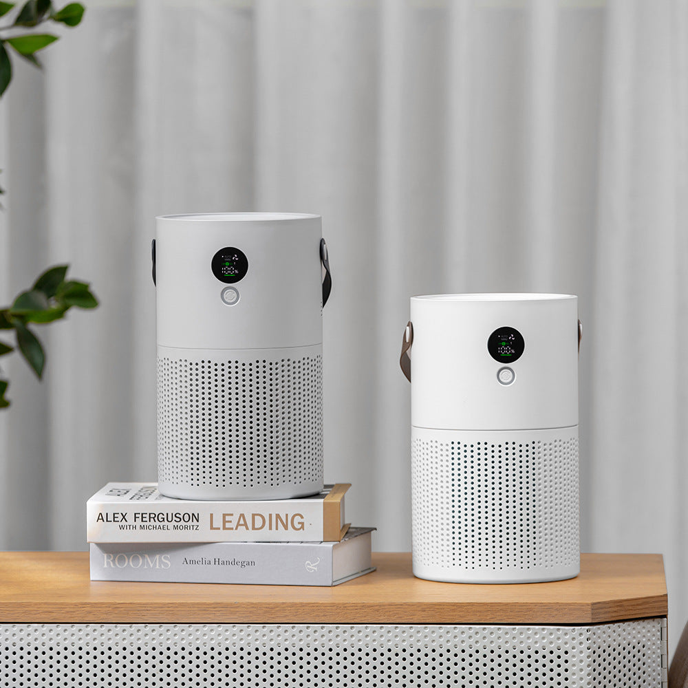 Negative Ion Air Purifier