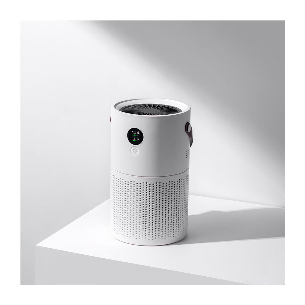 Negative Ion Air Purifier