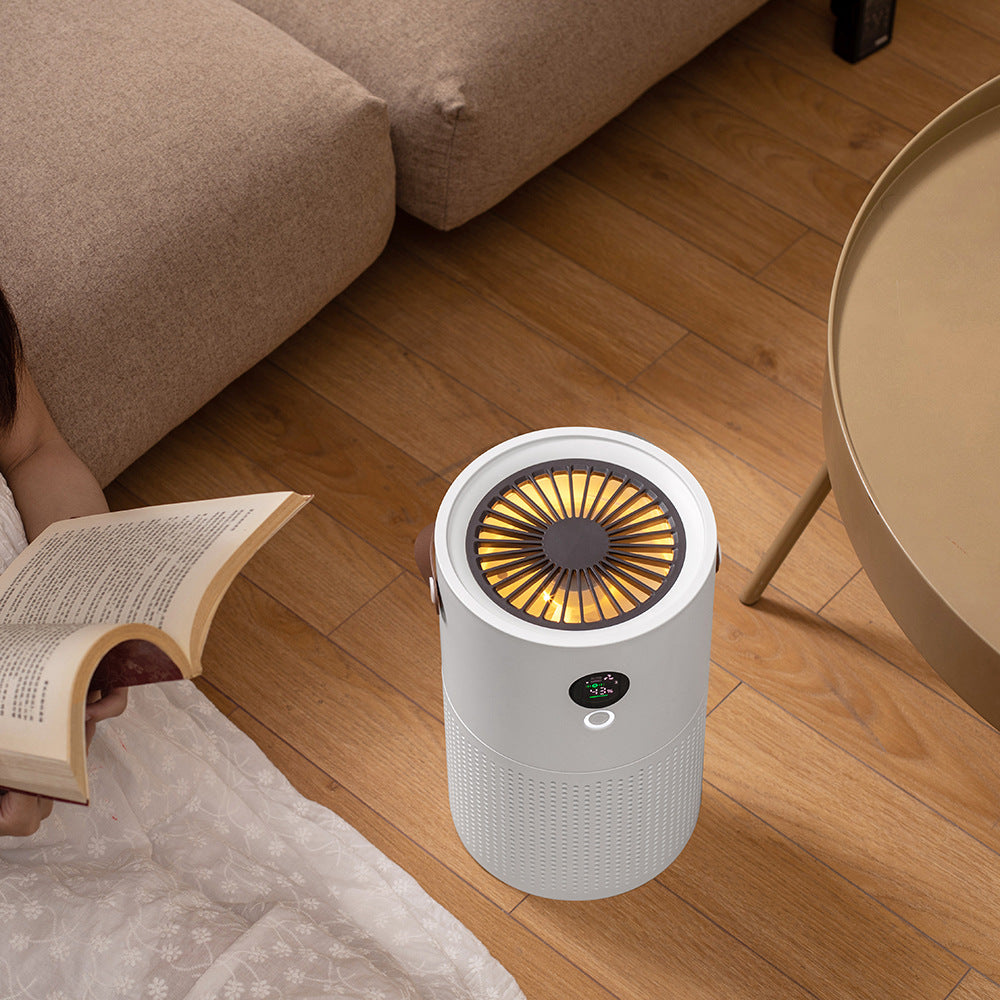 Negative Ion Air Purifier