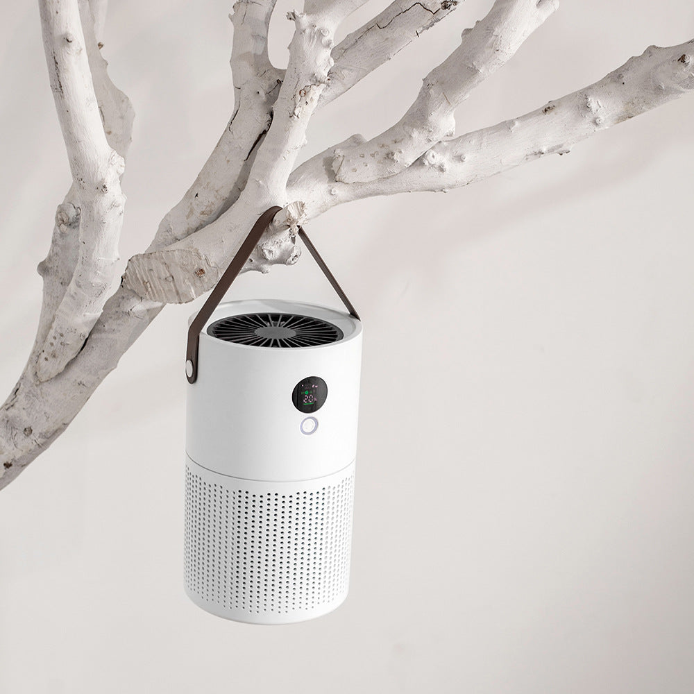 Negative Ion Air Purifier